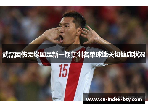 武磊因伤无缘国足新一期集训名单球迷关切健康状况 武磊因伤无缘国足新一期集训名单球迷关切健康状况